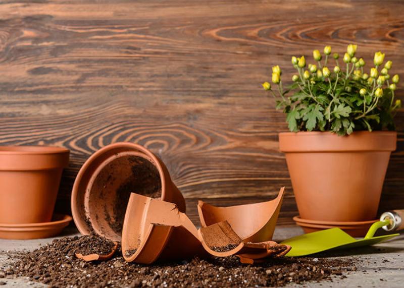 Une personne nettoyant délicatement une statue femme ronde en résine dans un jardin, avec des conseils pour son entretien extérieur.